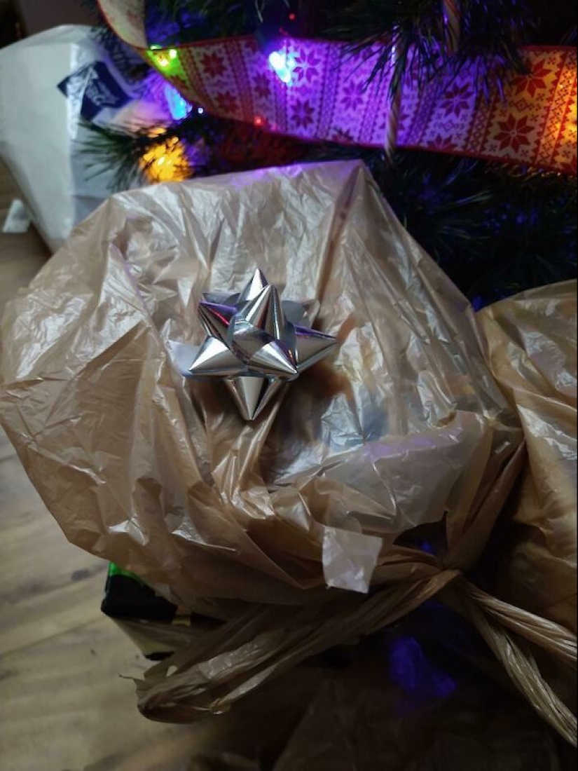 Los 22 ejemplos más impresionantes de pereza crónica Los 22 ejemplos más impresionantes de pereza crónica