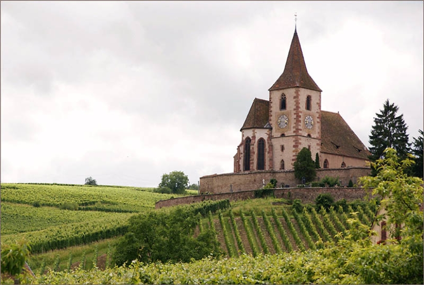 los 35 viñedos más bellos del mundo los 35 viñedos más bellos del mundo