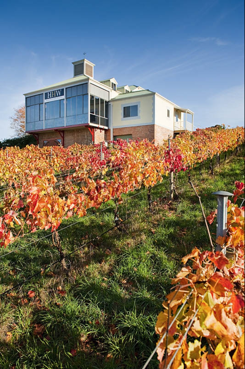 los 35 viñedos más bellos del mundo los 35 viñedos más bellos del mundo