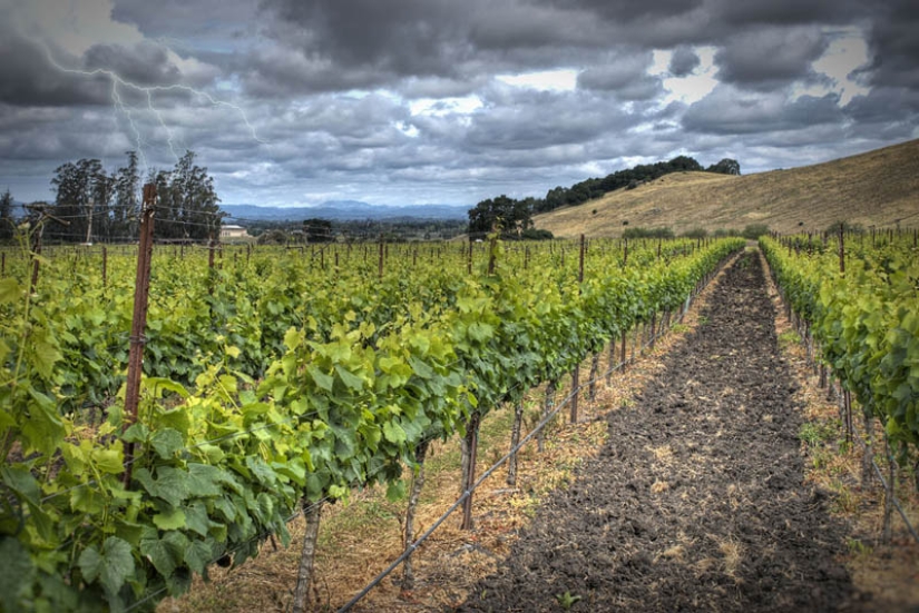 los 35 viñedos más bellos del mundo los 35 viñedos más bellos del mundo