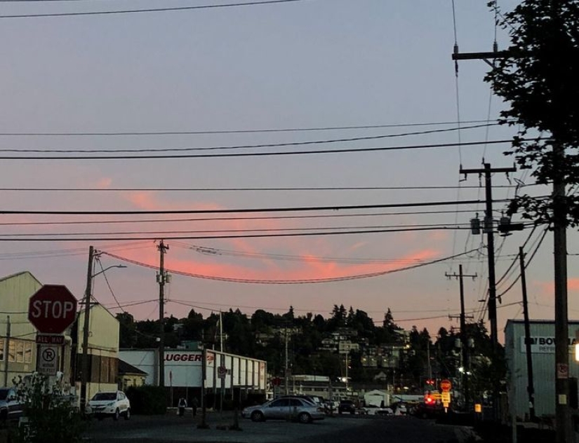 ¿Los accidentes no son aleatorios? 22 ejemplos de lindas coincidencias que te divertirán