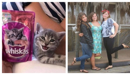 ¿Los accidentes no son aleatorios? 22 ejemplos de lindas coincidencias que te divertirán ¿Los accidentes no son aleatorios? 22 ejemplos de lindas coincidencias que te divertirán