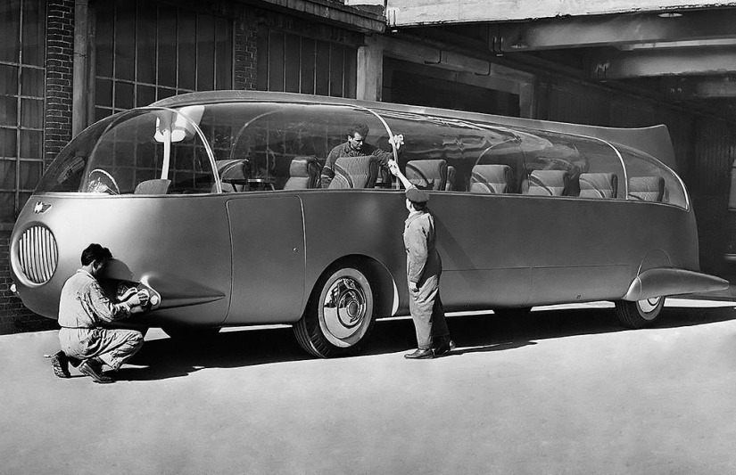 Los autobuses más divertidos