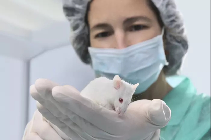 Los científicos han contado lo que le sucede a la psique después de beber Los científicos han contado lo que le sucede a la psique después de beber