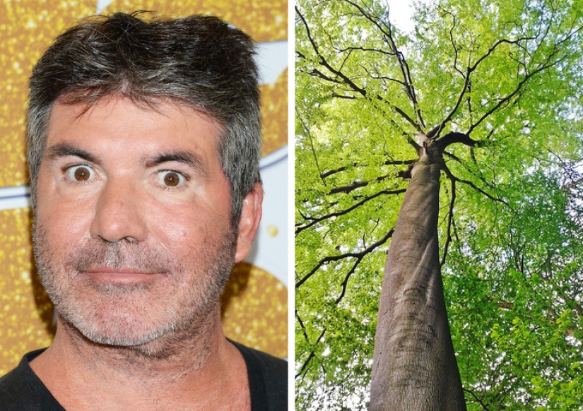 Los extraños hábitos de las estrellas del espectáculo: de comer insectos para jugar con las muñecas Barbie Los extraños hábitos de las estrellas del espectáculo: de comer insectos para jugar con las muñecas Barbie