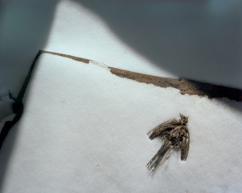 Los últimos paganos de Europa, los habitantes de Mari El a través de los ojos de un fotógrafo japonés