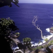 Los niños vivieron en una isla desierta durante más de un año, avergonzando al autor de"El Señor de las moscas"