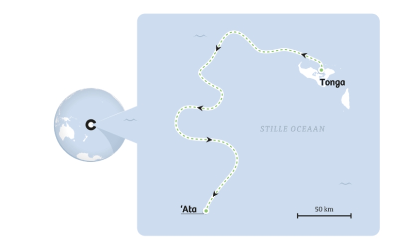 Los niños vivieron en una isla desierta durante más de un año, avergonzando al autor de"El Señor de las moscas" Los niños vivieron en una isla desierta durante más de un año, avergonzando al autor de"El Señor de las moscas"