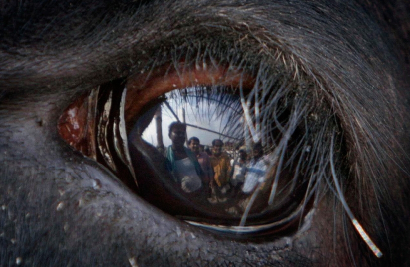 Los ojos son el espejo del alma Los ojos son el espejo del alma