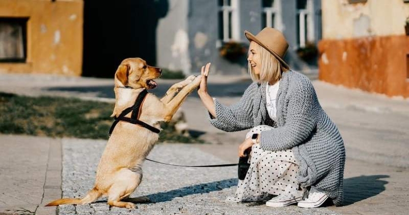 ¿Los perros tienen memoria y qué tan buena es?