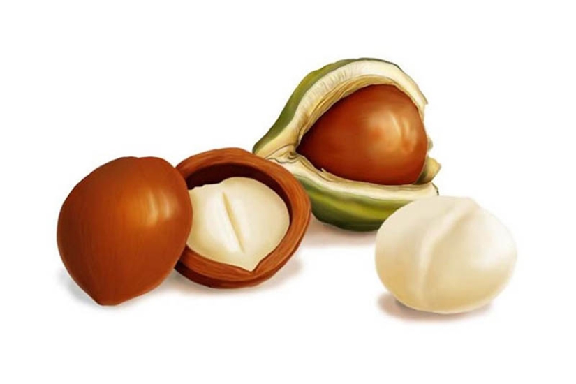 Los platos más caros del mundo