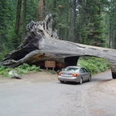 Los túneles de transporte más inusuales