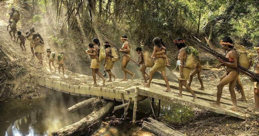 Lost in the jungle: How the people of ava live — the most secretive people on the planet Lost in the jungle: How the people of ava live — the most secretive people on the planet