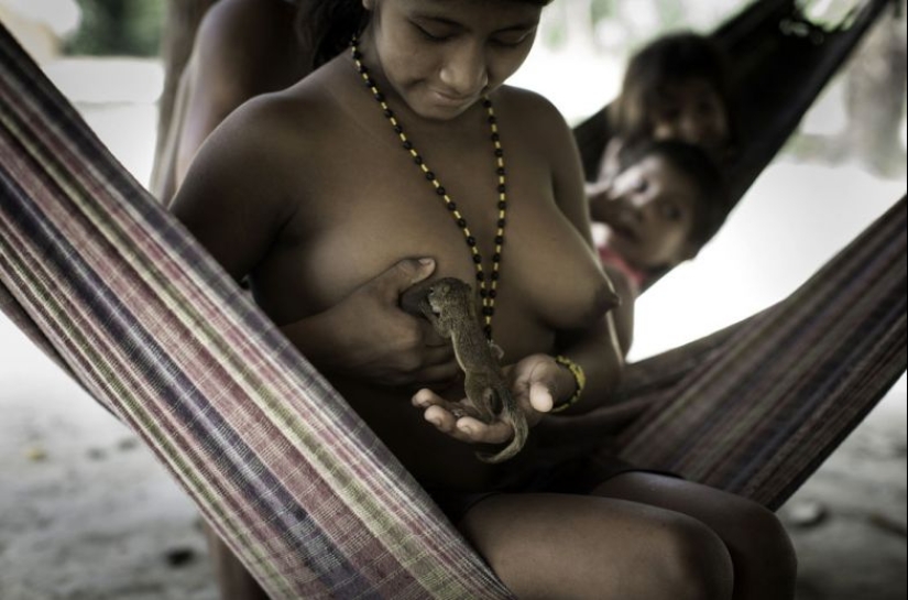 Lost in the jungle: How the people of ava live — the most secretive people on the planet Lost in the jungle: How the people of ava live — the most secretive people on the planet