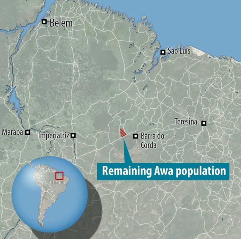 Lost in the jungle: How the people of ava live — the most secretive people on the planet Lost in the jungle: How the people of ava live — the most secretive people on the planet