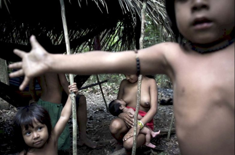 Lost in the jungle: How the people of ava live — the most secretive people on the planet Lost in the jungle: How the people of ava live — the most secretive people on the planet