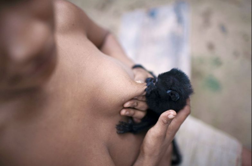 Lost in the jungle: How the people of ava live — the most secretive people on the planet Lost in the jungle: How the people of ava live — the most secretive people on the planet