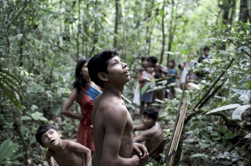 Lost in the jungle: How the people of ava live — the most secretive people on the planet Lost in the jungle: How the people of ava live — the most secretive people on the planet
