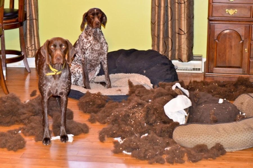 Maestro, sí, no tengo nada que ver con eso en absoluto.