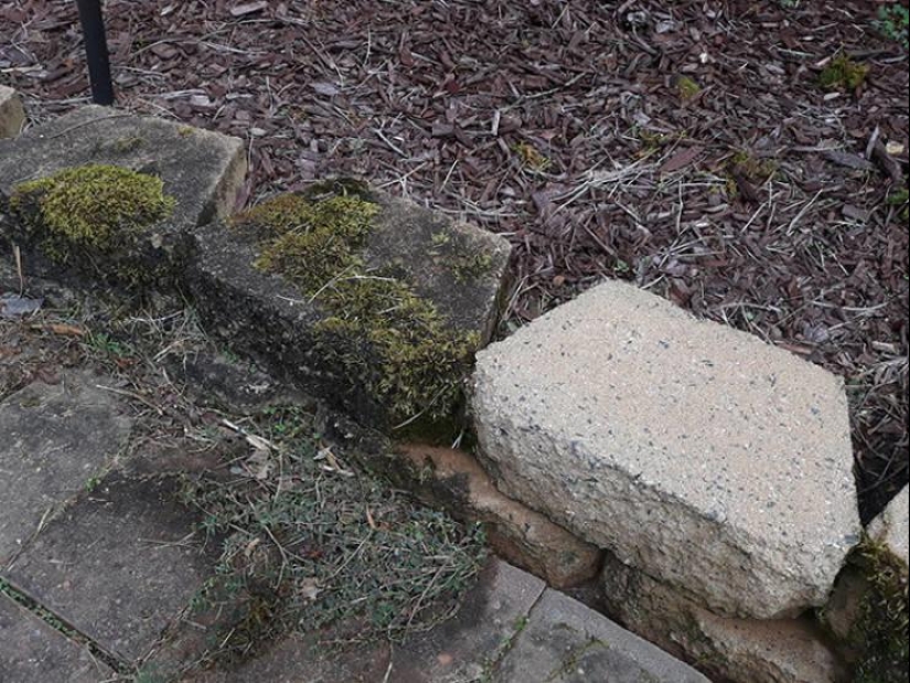 Magic of purity: 30 things before and after the pressure washer Magic of purity: 30 things before and after the pressure washer