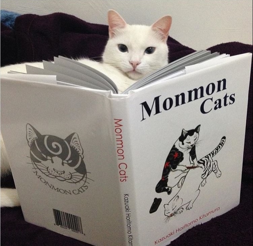 Magníficos tatuajes en forma de gatos tatuados de un artista japonés Magníficos tatuajes en forma de gatos tatuados de un artista japonés