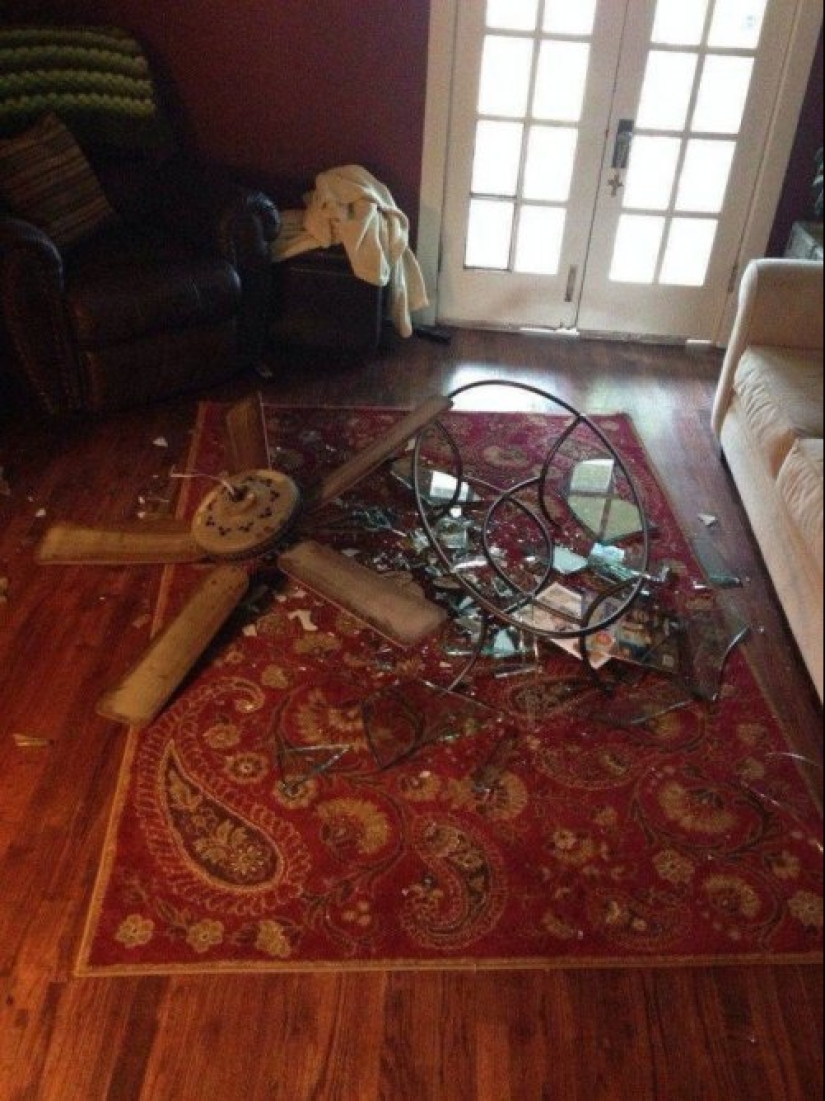 Mal día: fotos de las tragedias de la vida que pueden atrapar cada