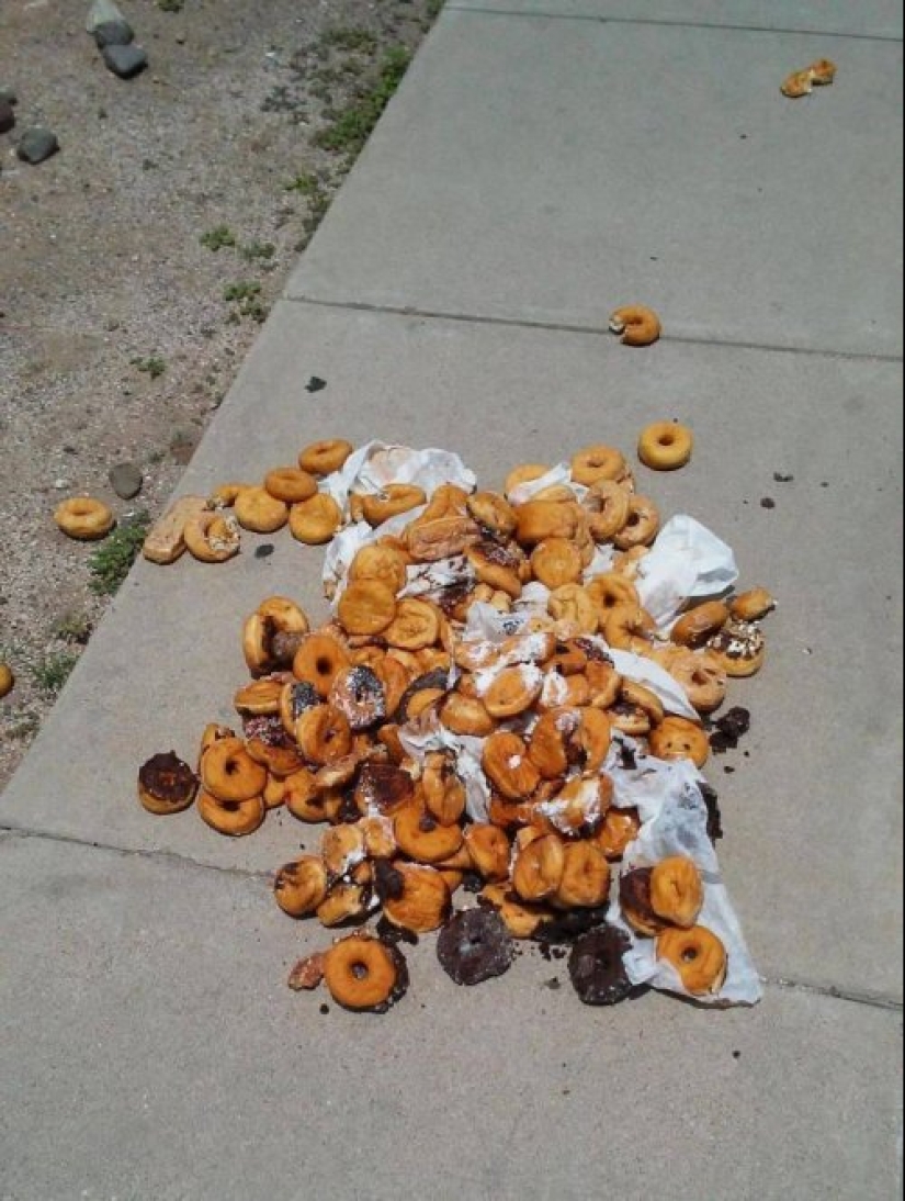 Mal día: fotos de las tragedias de la vida que pueden atrapar cada