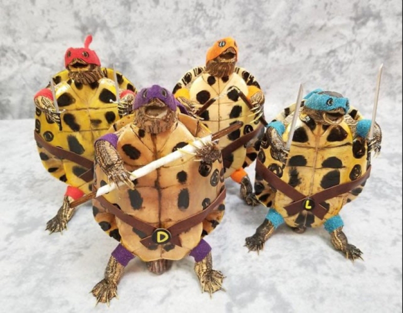 Mala taxidermia - como una forma de arte separada Mala taxidermia - como una forma de arte separada