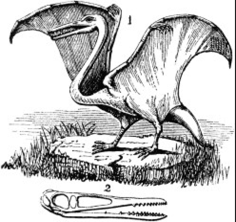 Man and a tame dinosaur: what would be happening on the planet now if dinosaurs had not gone extinct Man and a tame dinosaur: what would be happening on the planet now if dinosaurs had not gone extinct