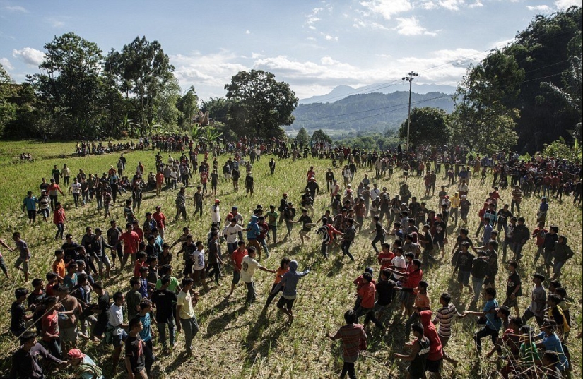Manene Festival, during which the Toraja people dig up the bodies of their deceased relatives