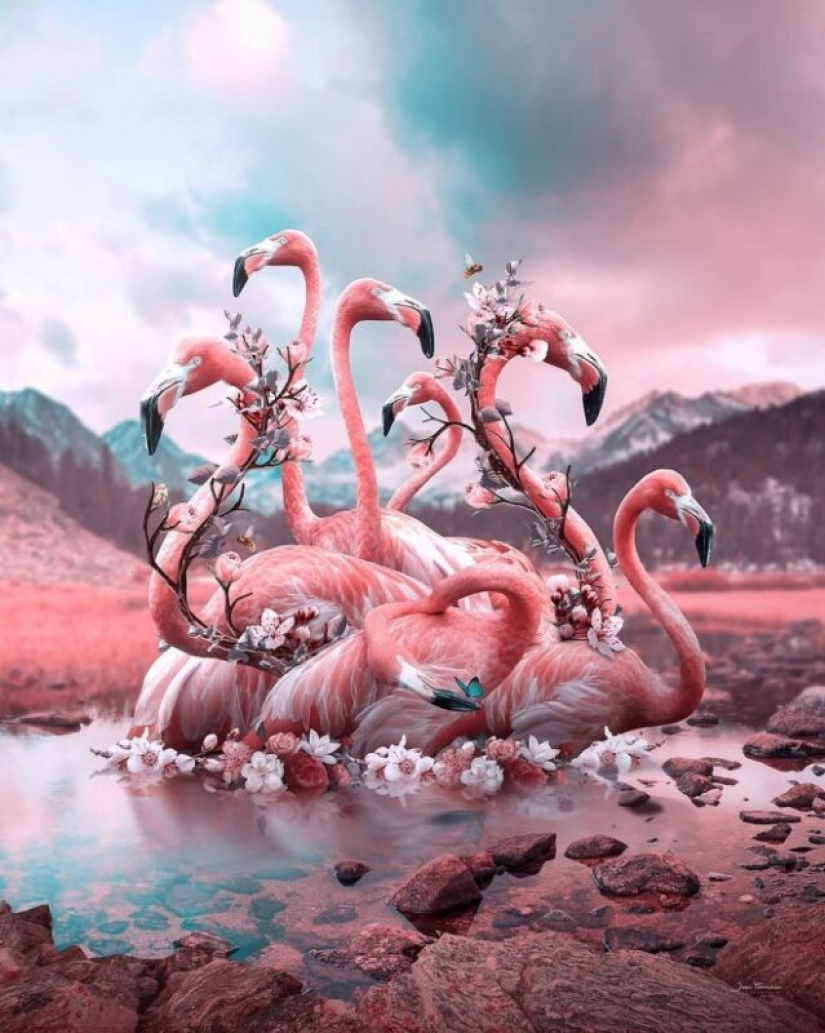 Manipulaciones fotográficas surrealistas por Jose Francese Manipulaciones fotográficas surrealistas por Jose Francese