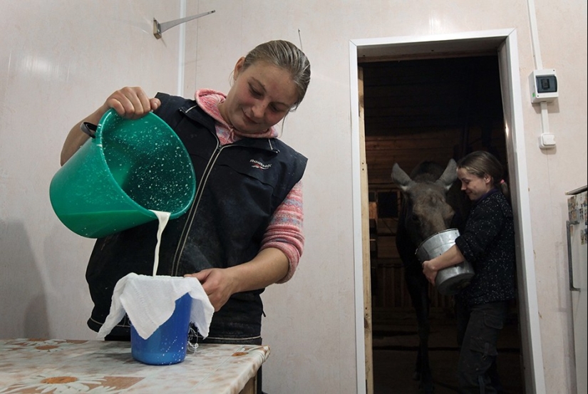 Manjares olvidados regresan al seno de la alta cocina rusa