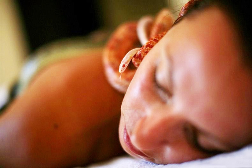 Masaje con serpientes