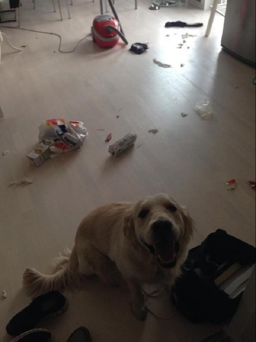 Master, yes, I have nothing to do with it at all