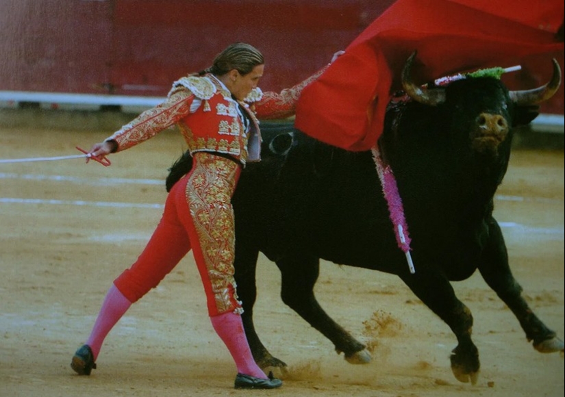 Matador Cristina Sanchez: how the bullfighting master's star rose and set Matador Cristina Sanchez: how the bullfighting master's star rose and set