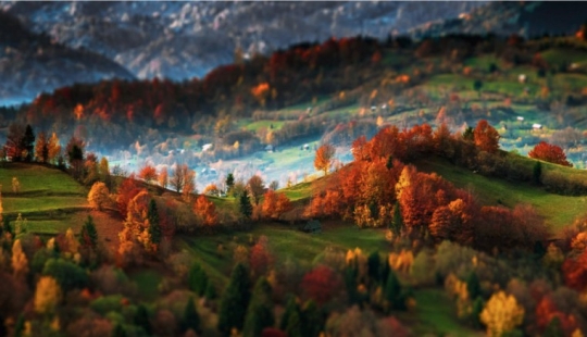 Me levanto a las 5 de la mañana, subo las montañas, y hay una belleza allí