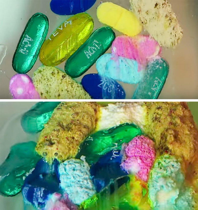 Mejor que cualquier libro de texto: más de 20 imágenes sobre anatomía humana que te sorprenderán Mejor que cualquier libro de texto: más de 20 imágenes sobre anatomía humana que te sorprenderán