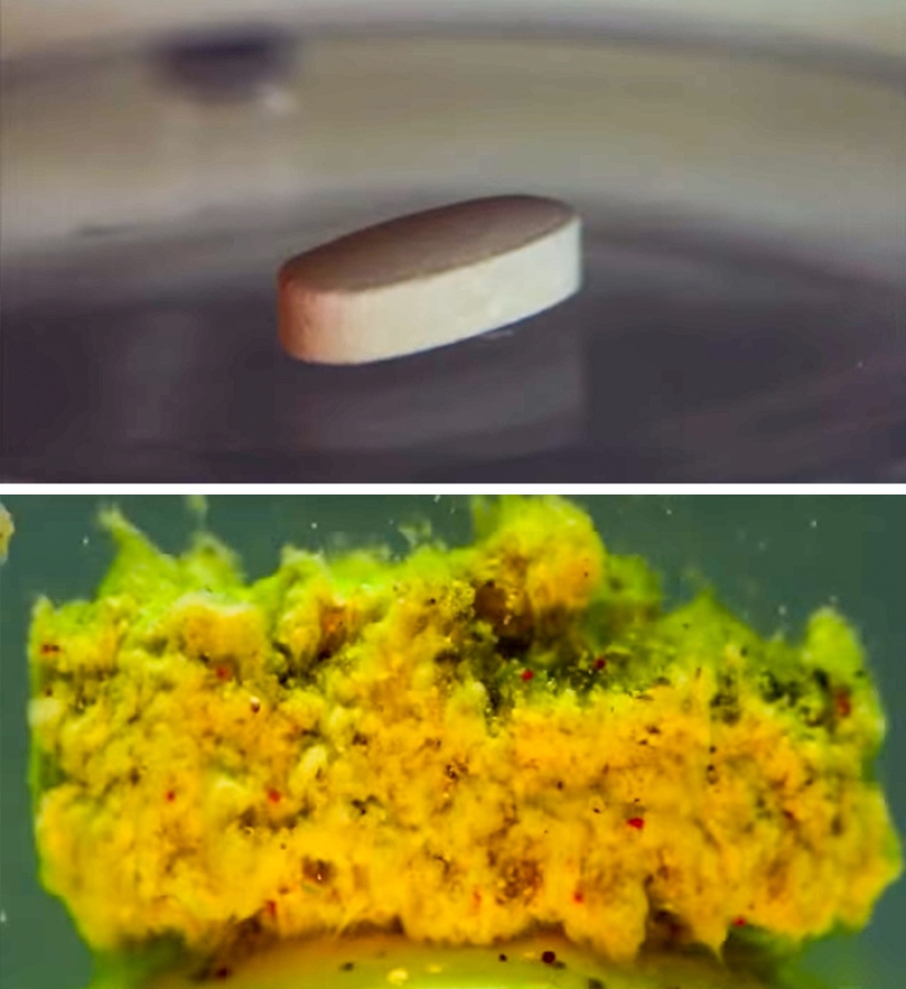 Mejor que cualquier libro de texto: más de 20 imágenes sobre anatomía humana que te sorprenderán Mejor que cualquier libro de texto: más de 20 imágenes sobre anatomía humana que te sorprenderán