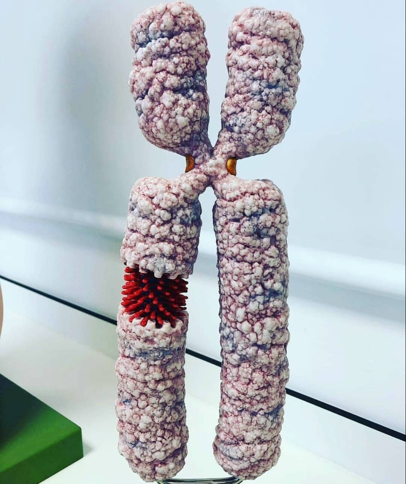 Mejor que cualquier libro de texto: más de 20 imágenes sobre anatomía humana que te sorprenderán Mejor que cualquier libro de texto: más de 20 imágenes sobre anatomía humana que te sorprenderán