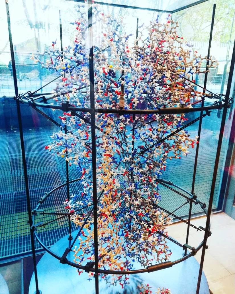 Mejor que cualquier libro de texto: más de 20 imágenes sobre anatomía humana que te sorprenderán Mejor que cualquier libro de texto: más de 20 imágenes sobre anatomía humana que te sorprenderán