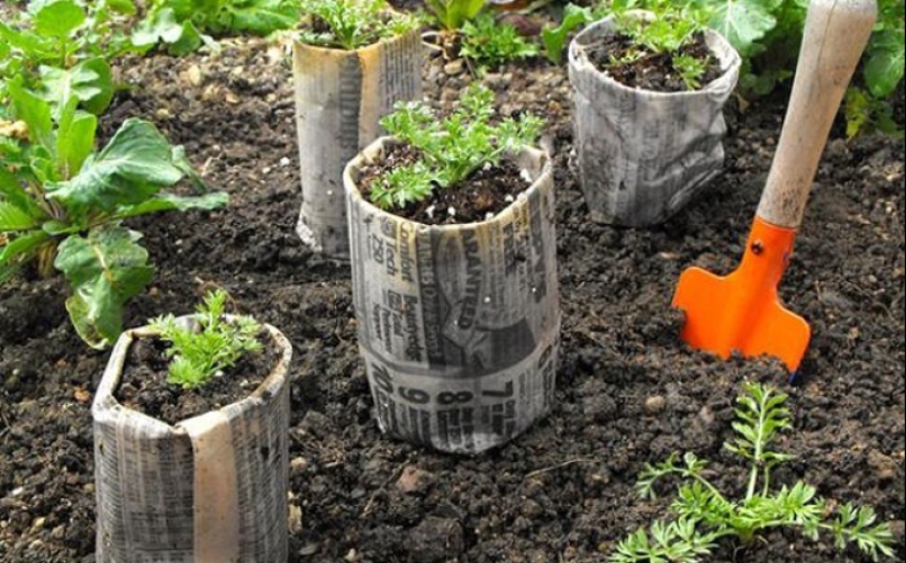 Memories from the past: 15 ways to use a read newspaper Memories from the past: 15 ways to use a read newspaper