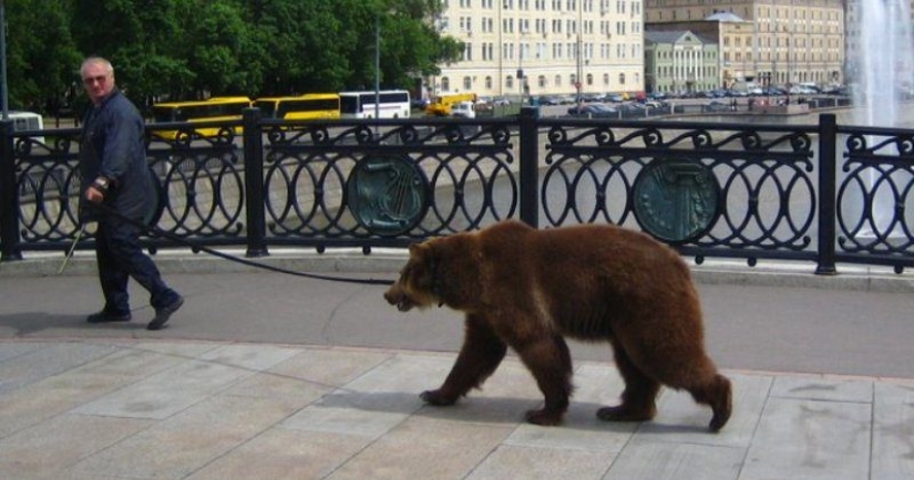 "Mientras tanto en...": 20 fotos con rasgos de diferentes países
