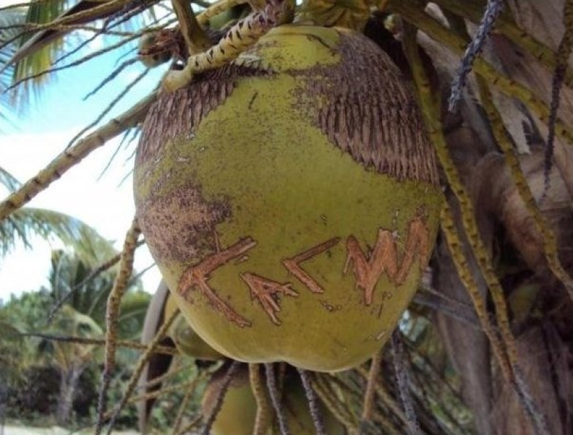 "Mientras tanto en...": 20 fotos con rasgos de diferentes países