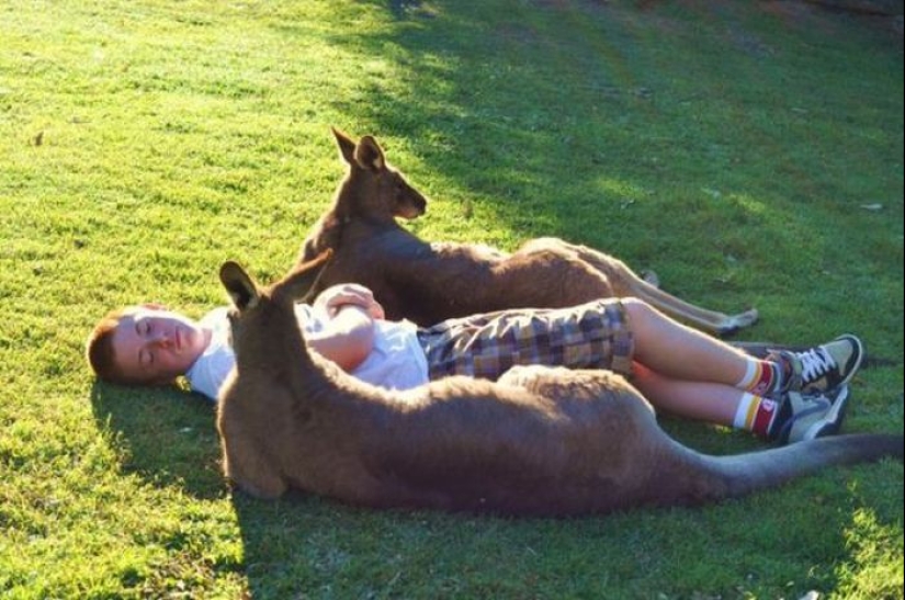 "Mientras tanto en...": 20 fotos con rasgos de diferentes países