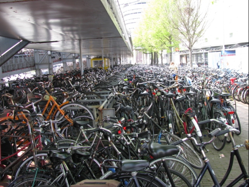 "Mientras tanto en...": 20 fotos con rasgos de diferentes países