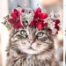 Milota squared: 25 Pets in floral wreath from a talented designer