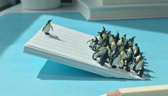 "Miniature office»: how a photographer copes with boredom at work "Miniature office»: how a photographer copes with boredom at work