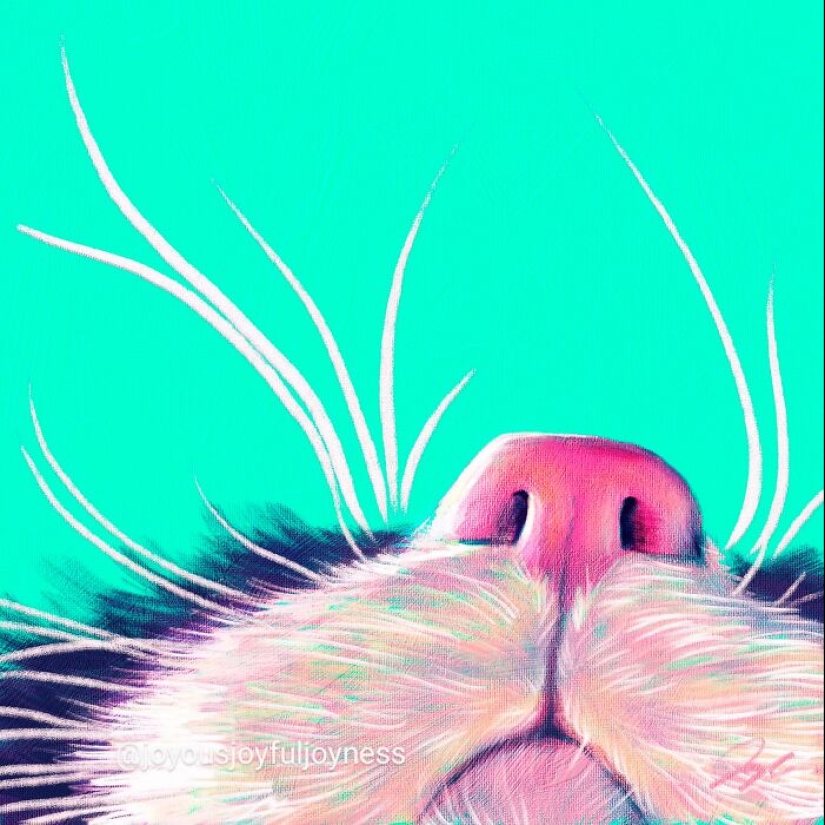 Mis 20 pinturas extravagantes de gatos en sus poses más divertidas Mis 20 pinturas extravagantes de gatos en sus poses más divertidas