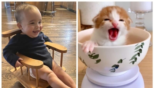 Moments of pure joy: 22 photos that will fill your heart with warmth