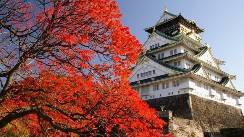 Momijigari: Cómo los japoneses convirtieron la admiración por el arce otoñal en un arte